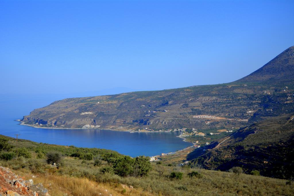 Olea Pírgos Dhiroú